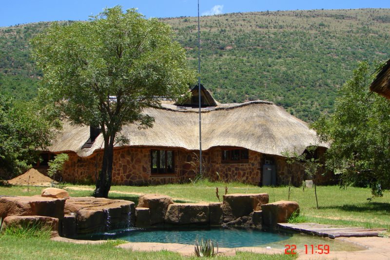 Tsessebe